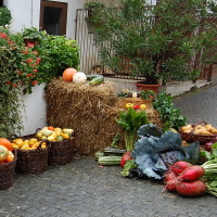 Herbstmarkt 2007 Herbstmarkt 2007